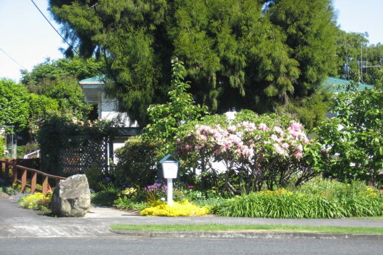 Photo of property in 437 Mandeno Street, Te Awamutu, 3800