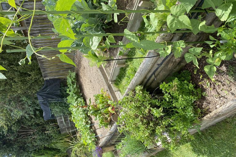 Photo of property in 35 Yorke Road, Haruru, 0204