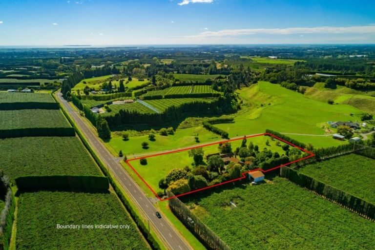 Photo of property in 955 Te Matai Road, Te Ranga, Te Puke, 3188