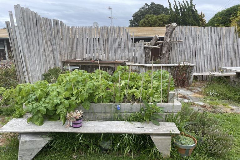 Photo of property in 145 Te Moana Road, Waikanae, 5036