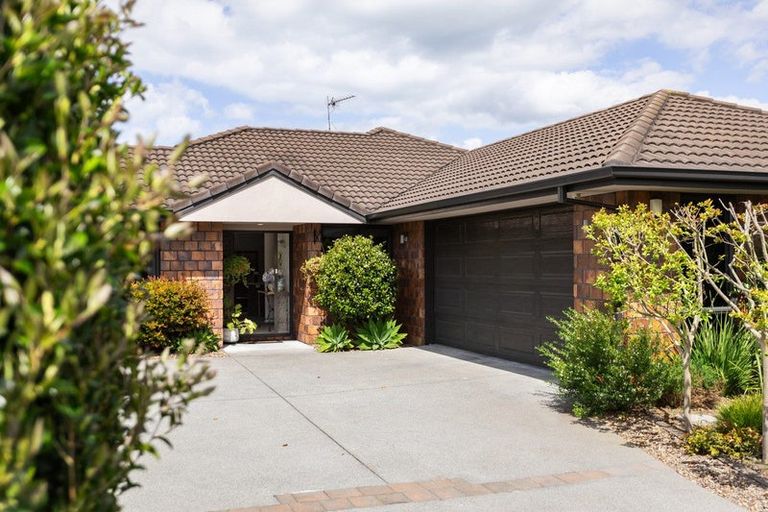 Photo of property in 51 Wills Road, Katikati, 3129