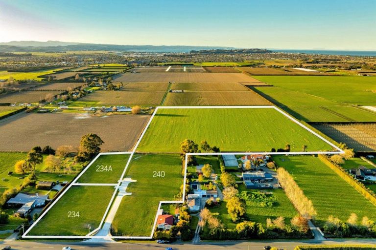 Photo of property in 234a Meeanee Road, Meeanee, Napier, 4112