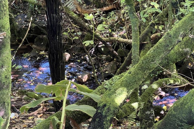 Photo of property in 1057 Stewart Street, Rapahoe, Greymouth, 7803