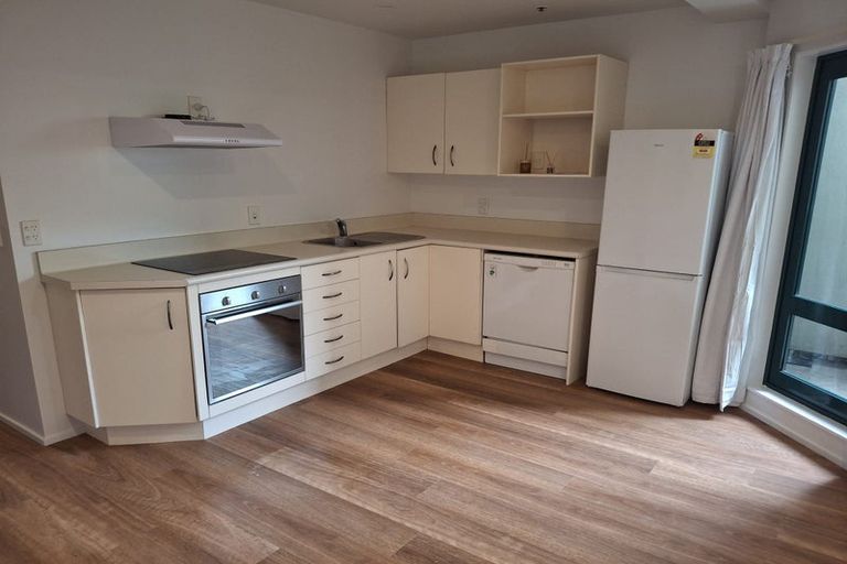 Photo of property in Courtenay Apartments, 208/120 Courtenay Place, Te Aro, Wellington, 6011