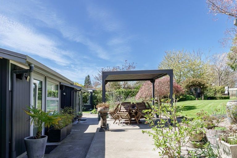 Photo of property in 114 Norton Road, Akina, Hastings, 4122