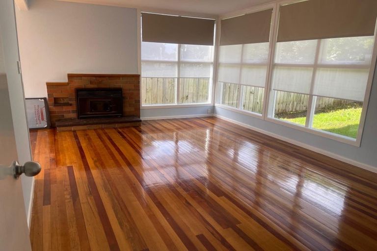 Photo of property in 20 Larnoch Road, Henderson, Auckland, 0610