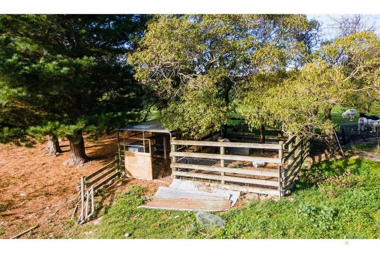Photo of property in 176 Point Bush Road, Waimate, 7979