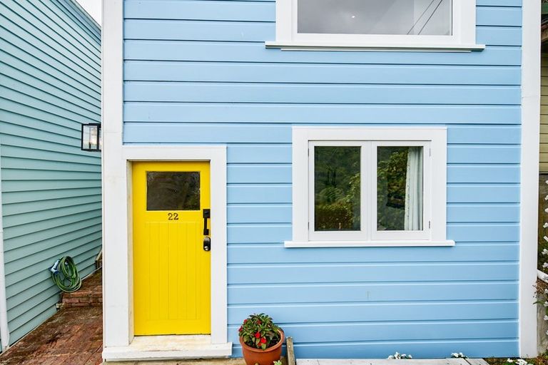 Photo of property in 22 Mount Pleasant Road, Aro Valley, Wellington, 6012