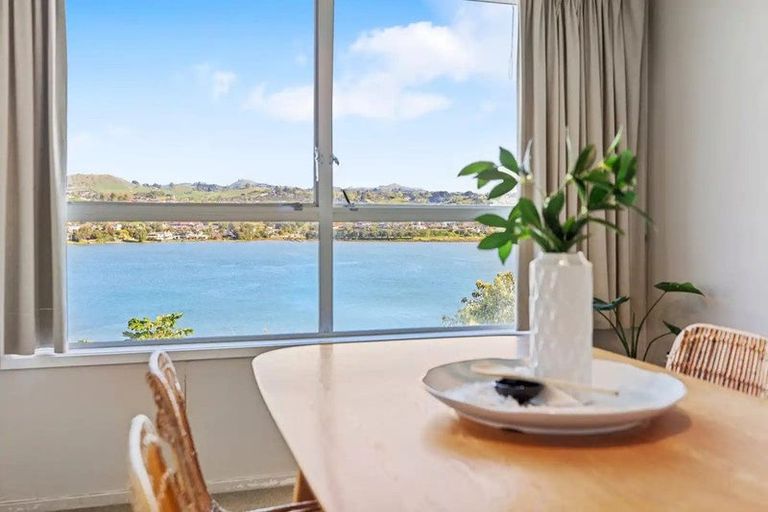 Photo of property in 17 Te Hono Street, Maungatapu, Tauranga, 3112