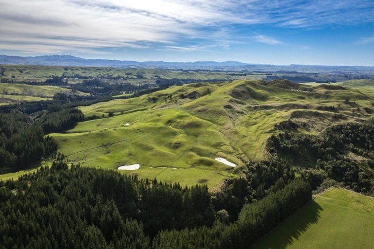 Photo of property in 1233 Kereru Road, Maraekakaho, Hastings, 4171