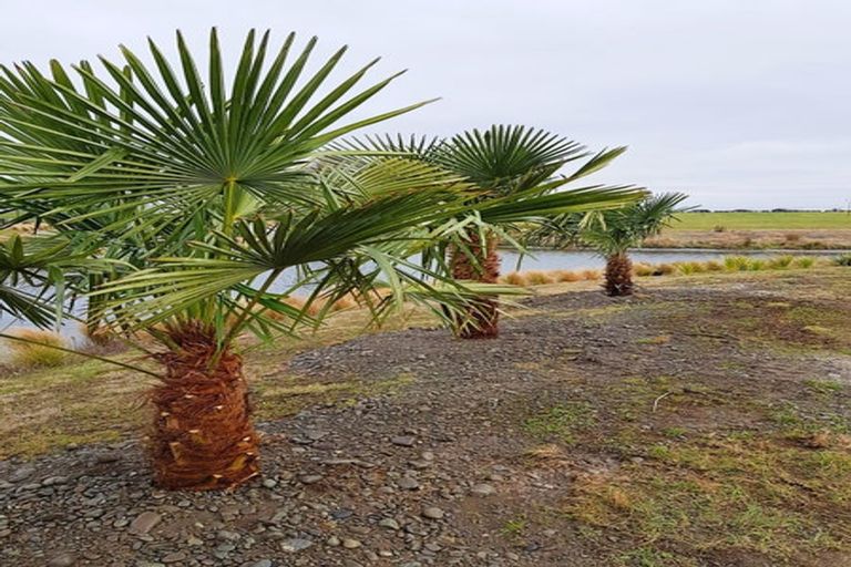 Photo of property in 137 Lake Hood Drive, Huntingdon, Ashburton, 7774