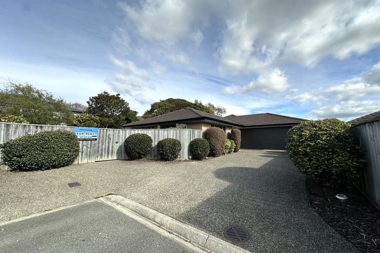 Photo of property in 3a Forget-me-not Lane, Richmond, 7020