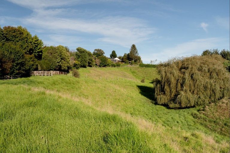 Photo of property in 42 Youngson Road, Whakamarama, Tauranga, 3180