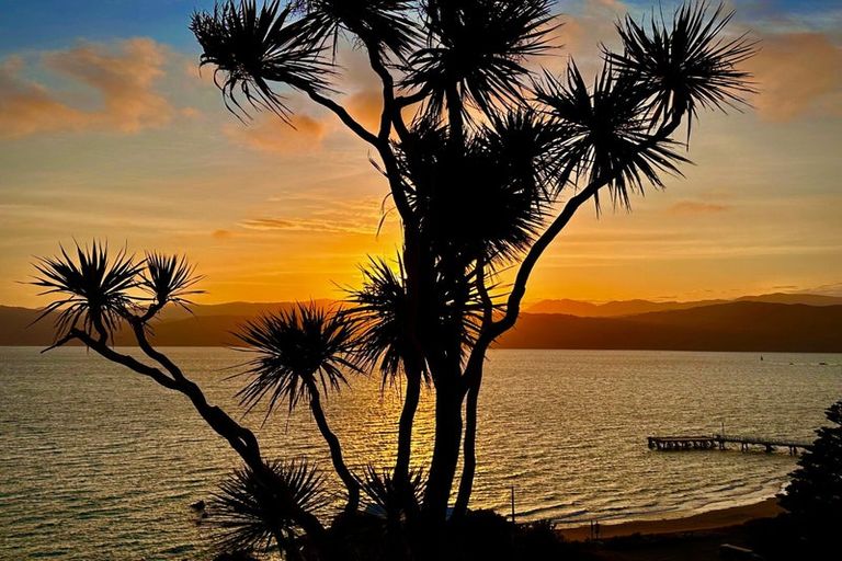 Photo of property in 8 Beere Haven Steps, Seatoun, Wellington, 6022