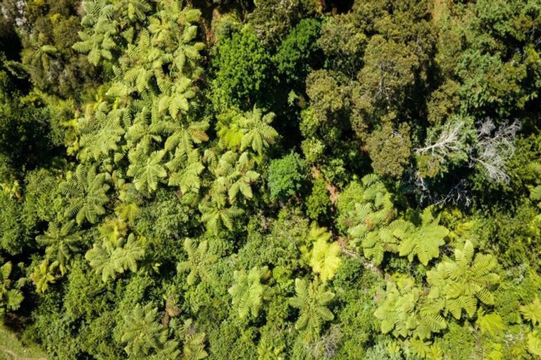 Photo of property in 67 Busby Road, Katikati, 3170