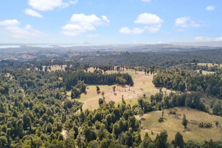 Photo of property in 1046 Work Road, Whakamarama, 3181