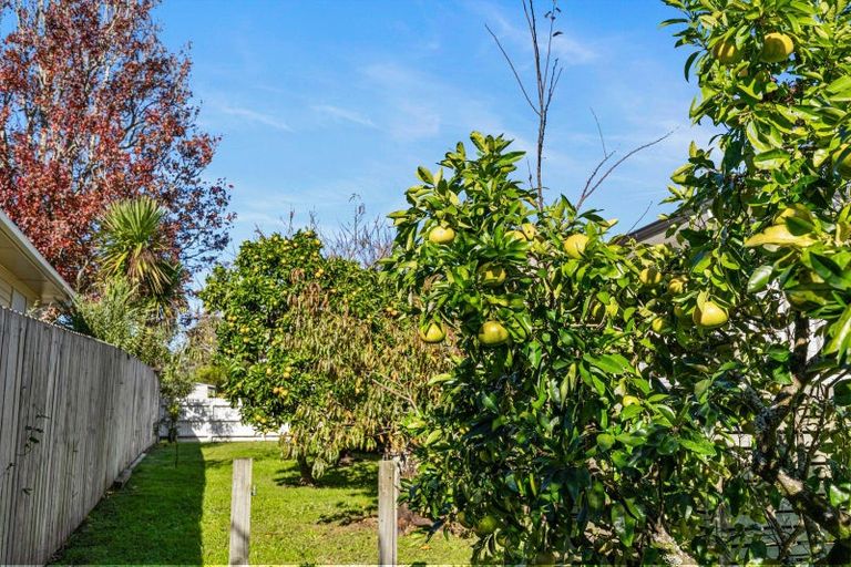Photo of property in 36 Mildmay Road, Henderson, Auckland, 0610
