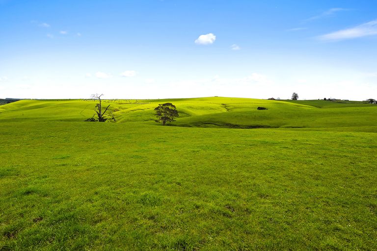 Photo of property in 191 Whangamarino Road, Whangamarino, Te Kauwhata, 3782