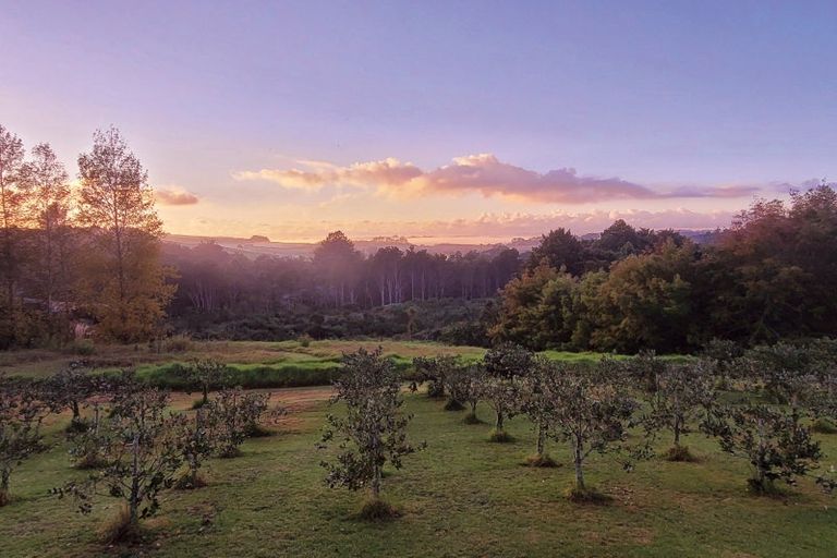 Photo of property in 224 Garbolino Road, Mangawhai, Kaiwaka, 0573