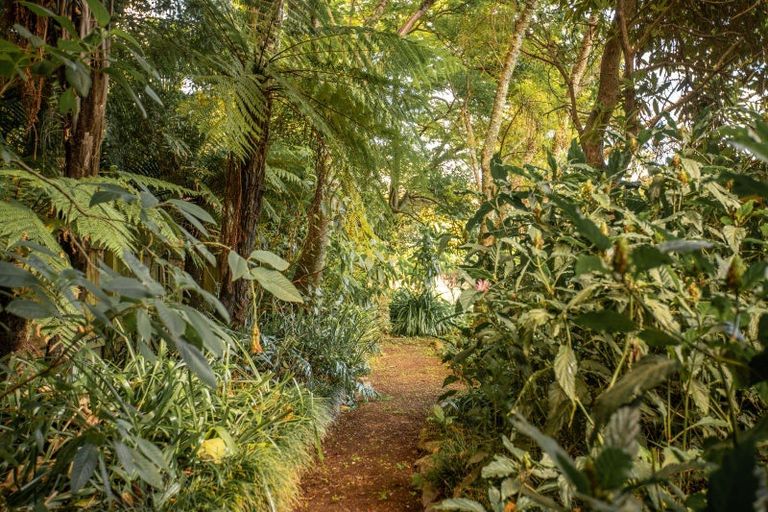 Photo of property in 459 Te Moana Road, Waikanae, 5036