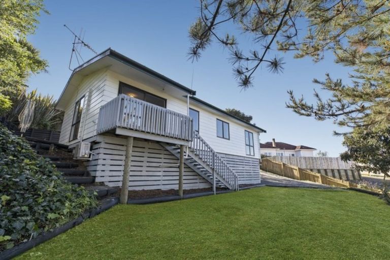 Photo of property in 13a Ridout Street, Maeroa, Hamilton, 3200