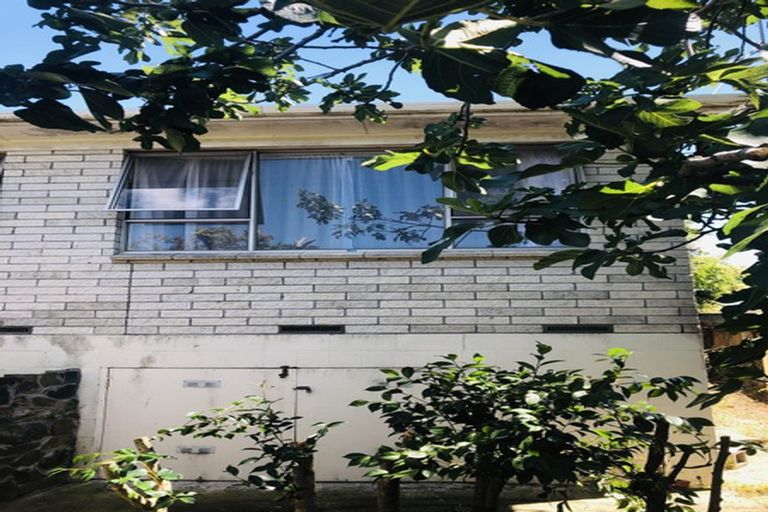 Photo of property in 109b Mansel Avenue, Hillcrest, Hamilton, 3216