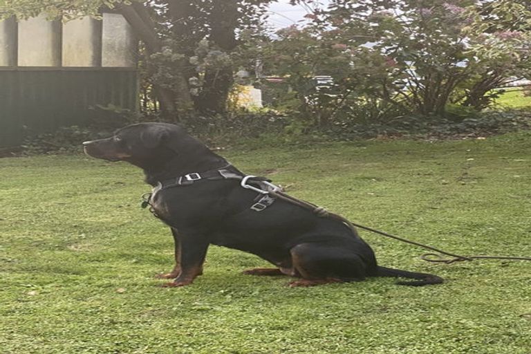 Photo of property in 66 Iles Road, Lynmore, Rotorua, 3010