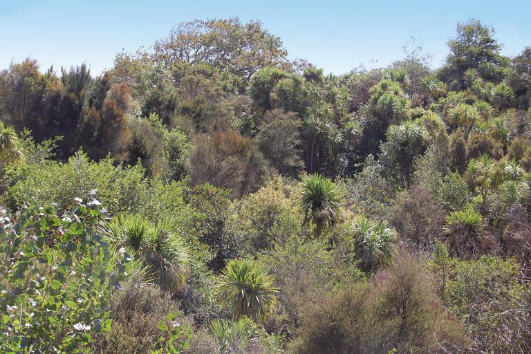 Photo of property in 126 Oneriri Road, Kaiwaka, 0573