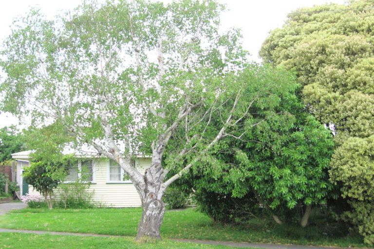 Photo of property in 45 Atkinson Street, Mangapapa, Gisborne, 4010