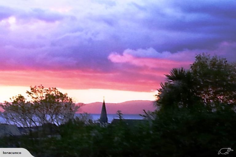 Photo of property in 101 Edward Street, Thames, 3500