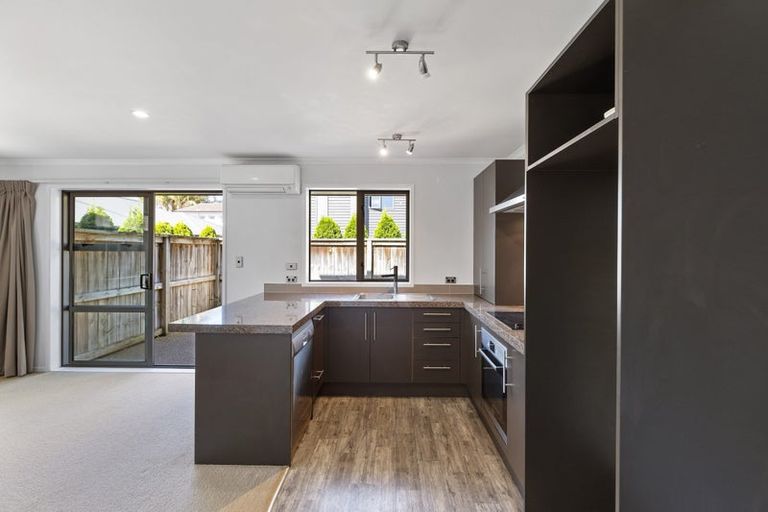 Photo of property in 17 Stadium Lane, Whitiora, Hamilton, 3200