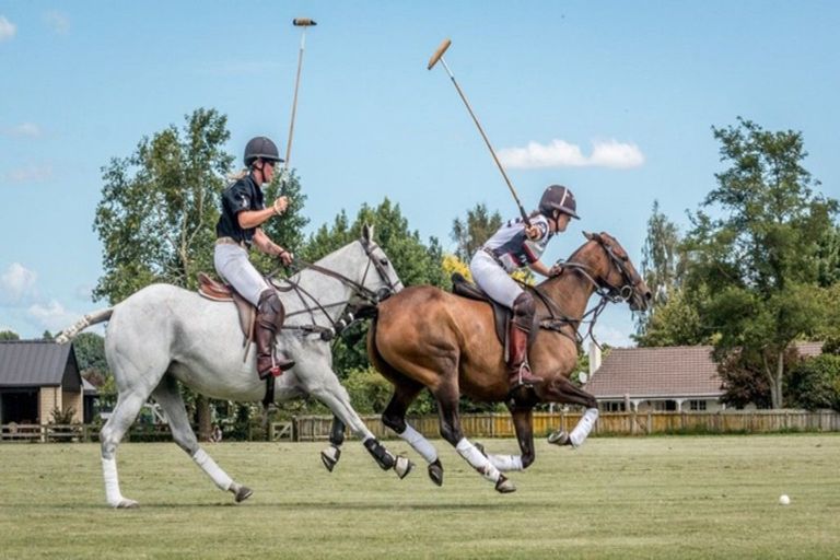 Photo of property in 16 Cowley Drive, Leamington, Cambridge, 3432