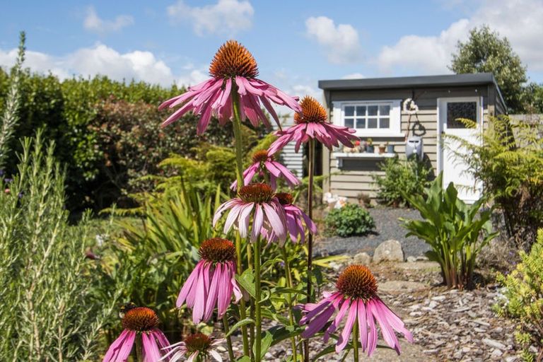 Photo of property in 56 Reservoir Road, Waihi, 3610