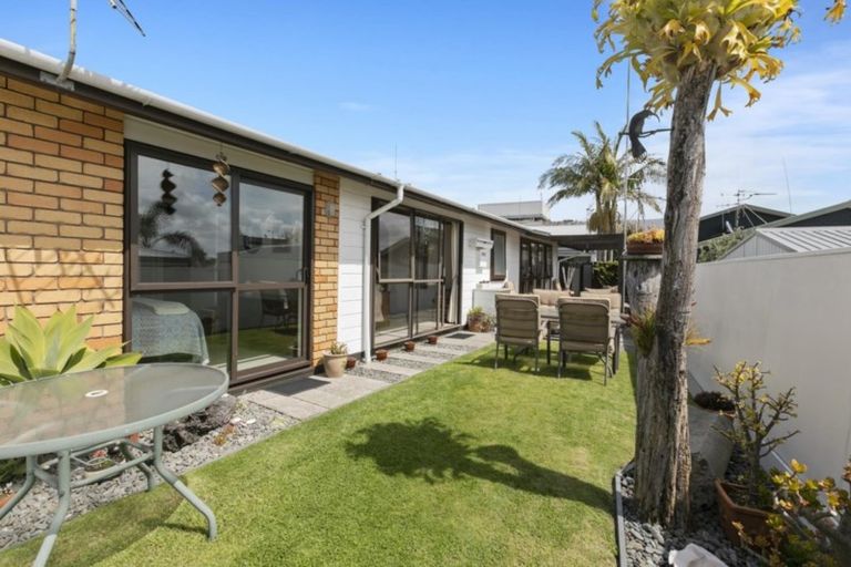 Photo of property in 66 Campbell Road, Mount Maunganui, 3116