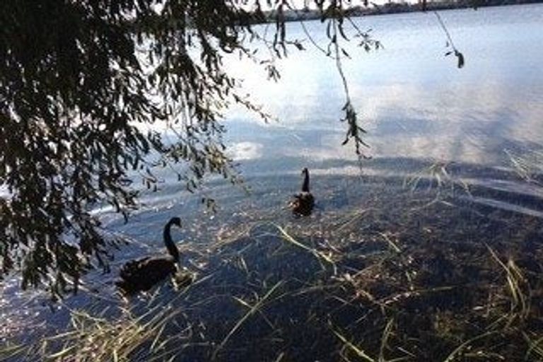 Photo of property in 41 Lake View Road, Takapuna, Auckland, 0622