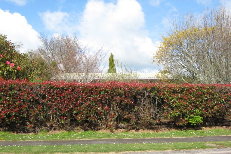 Photo of property in 17 Koromiko Street, Inglewood, 4330