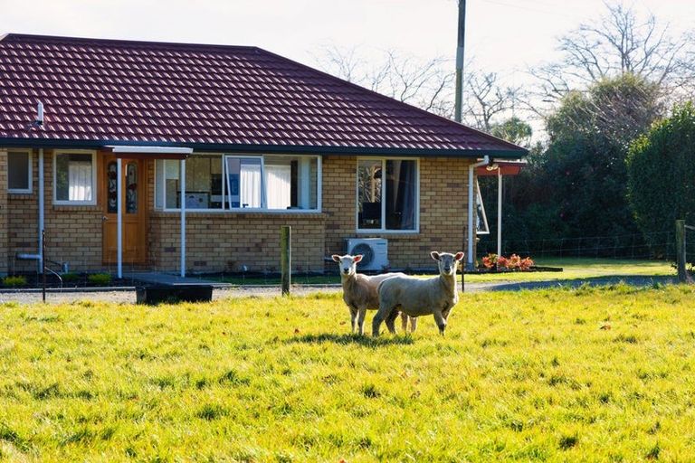 Photo of property in 8 Reeves Street, Cheviot, 7310