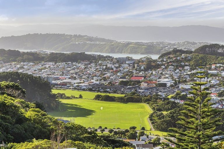 Photo of property in 175 The Ridgeway, Kingston, Wellington, 6021