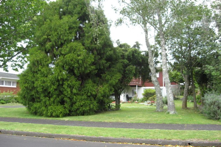 Photo of property in 12 Hogan Street, Pukekohe, 2120