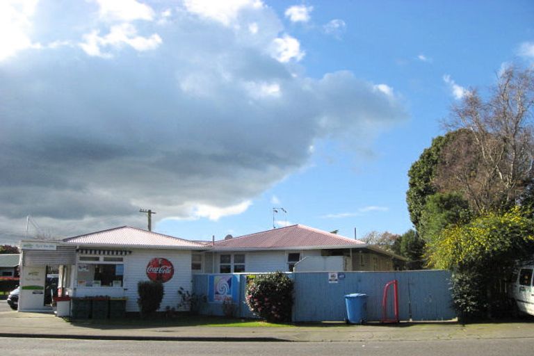 Photo of property in 1 Macarthur Street, Levin, 5510