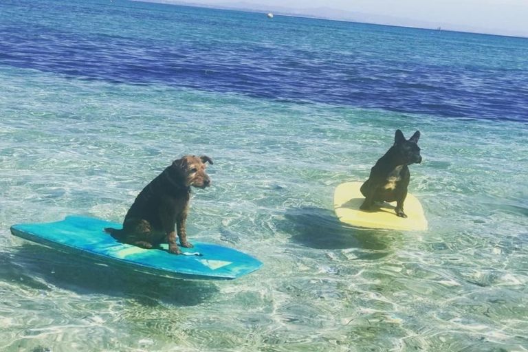 Photo of property in 750 Rangiputa Road, Karikari Peninsula, 0483