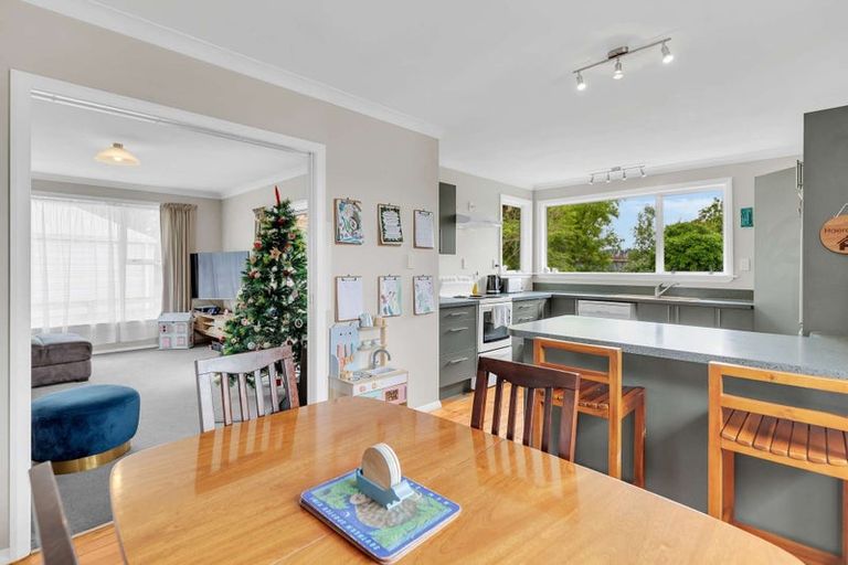 Photo of property in 41a Avenue Road, Foxton, 4814