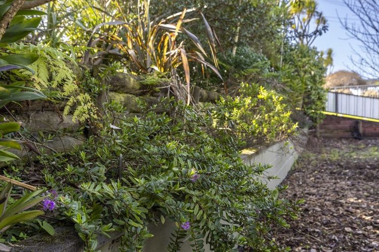 Photo of property in 52 Kimihia Road, Huntly, 3700