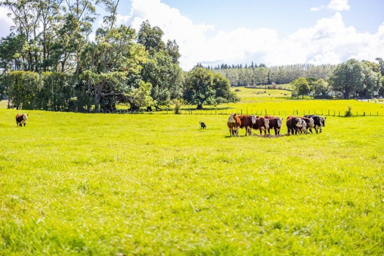 Photo of property in 168 Hariru Road, Ohaeawai, Kaikohe, 0472