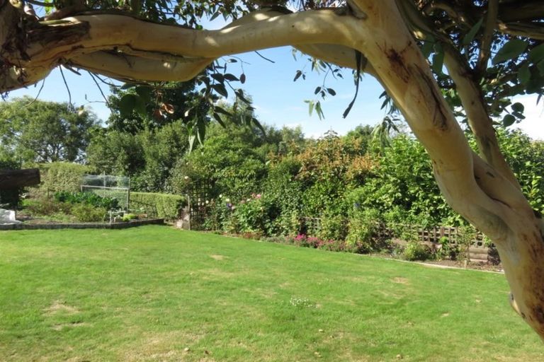 Photo of property in 18 Darby Street, Geraldine, 7930