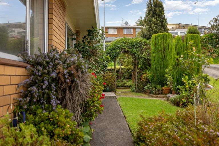 Photo of property in 5a Highfield Crescent, Brookfield, Tauranga, 3110