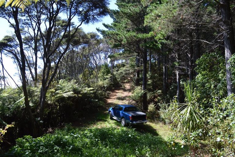 Photo of property in 478 Port Charles Road, Waikawau, Coromandel, 3584