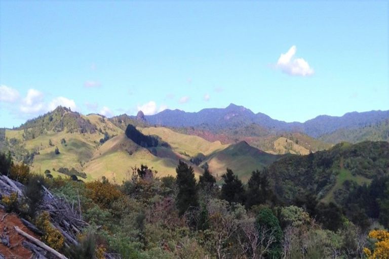 Photo of property in 270 Kaimarama Road, Kaimarama, Whitianga, 3591