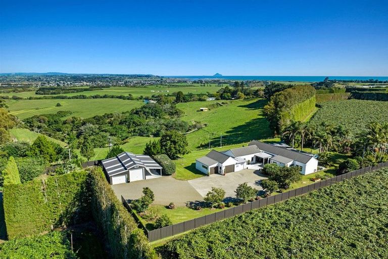 Photo of property in 304 Tablelands Road, Tirohanga, Opotiki, 3197