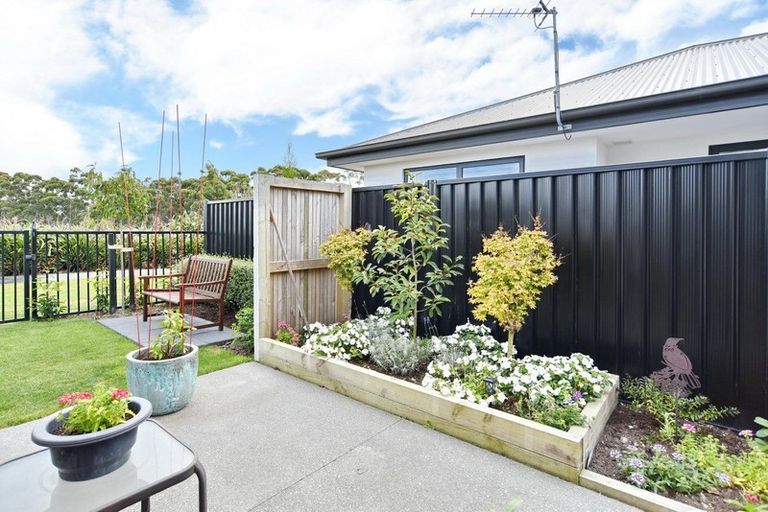 Photo of property in 17 Johnson Street, Kaiapoi, 7630